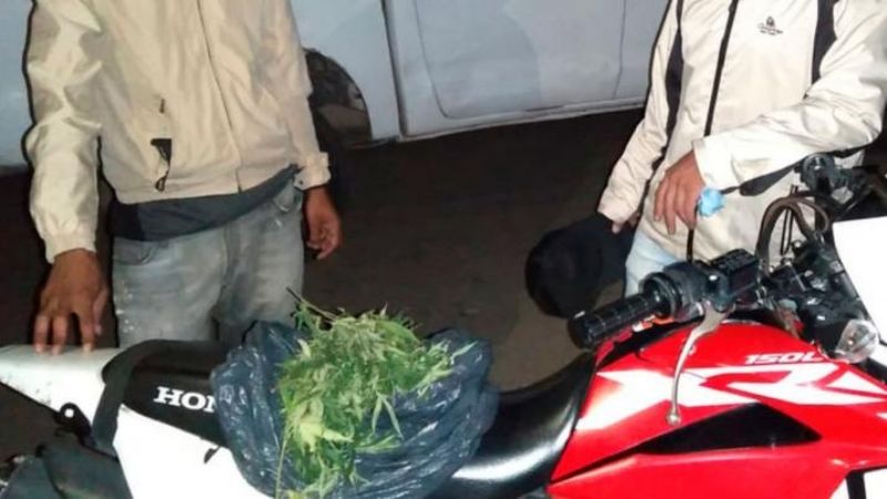 Dos recreinos aprehendidos por tenencia de marihuana en Frías
