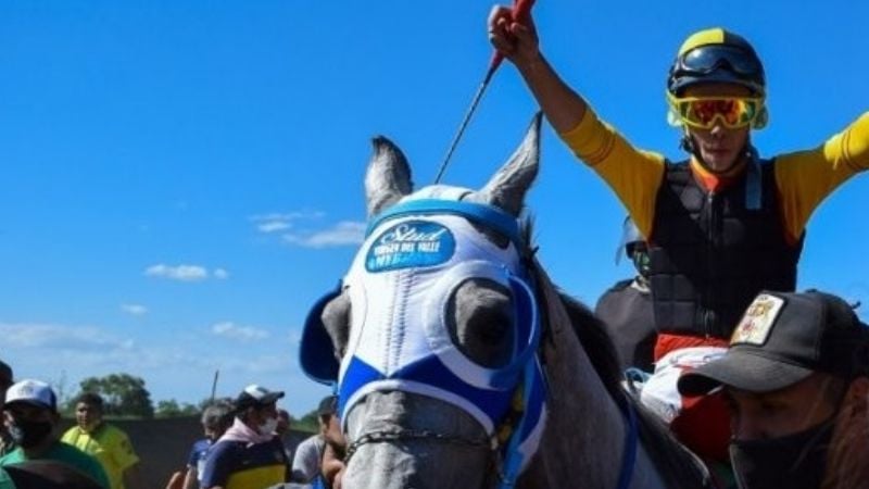 “Francisquito”, el chiquilín que apunta para “crack”