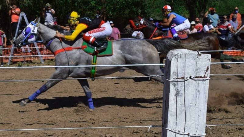 “Francisquito”, el chiquilín que apunta para “crack”