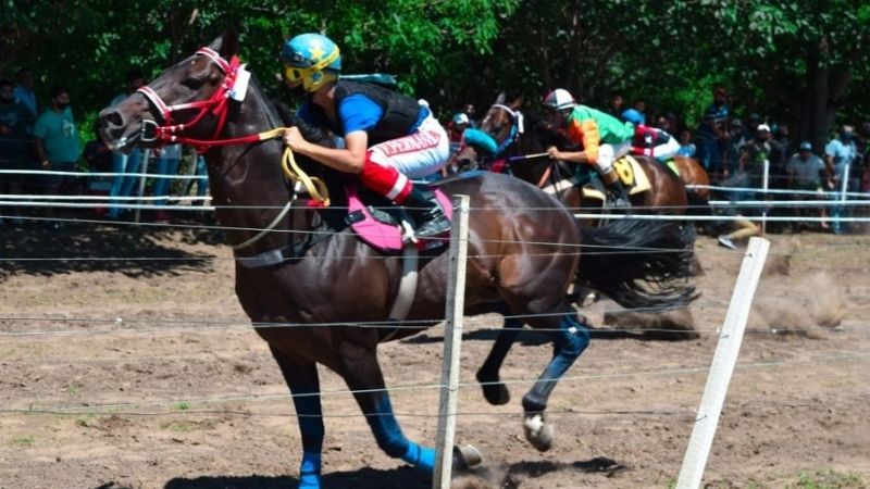 “Francisquito”, el chiquilín que apunta para “crack”