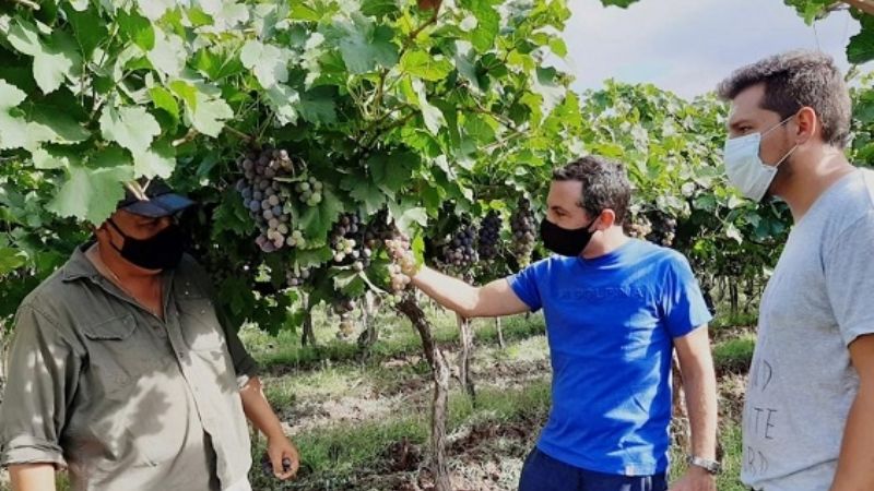 El ministro de Agricultura y Ganadería en Tinogasta