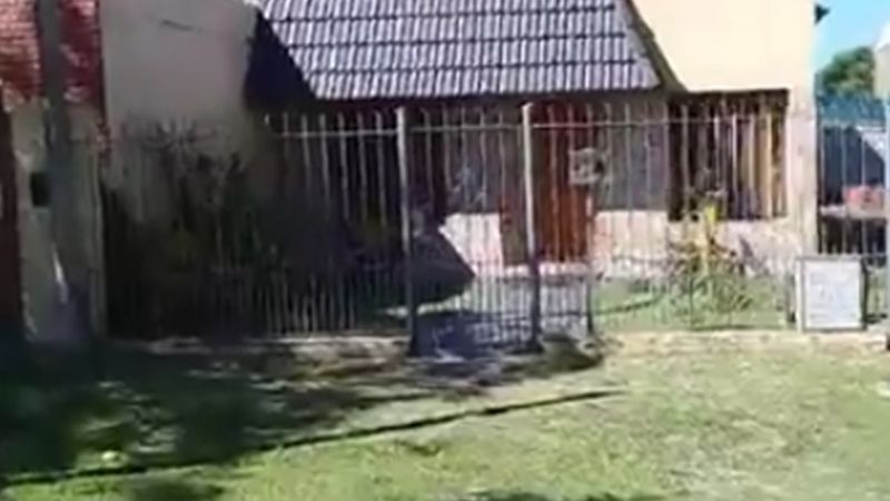 Su pareja la apuñaló 27 veces: se salvó al hacerse "pasar por muerta"