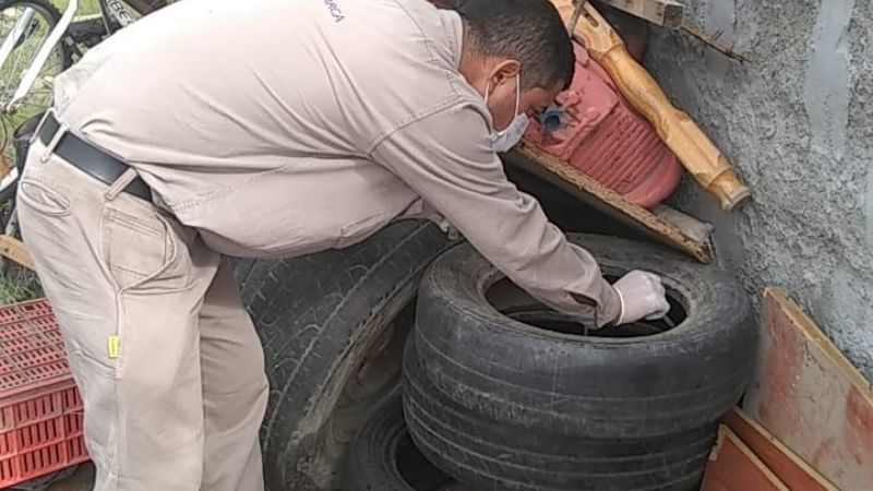 Cronograma de descacharrado y control focal