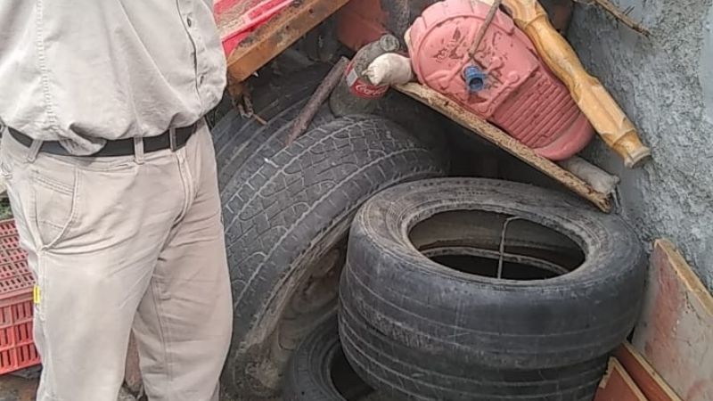 Cronograma de descacharrado y control focal