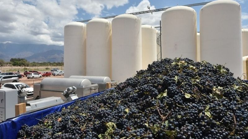 Jalil inauguró dos mosteras y anunció un paquete de inversión para la industria