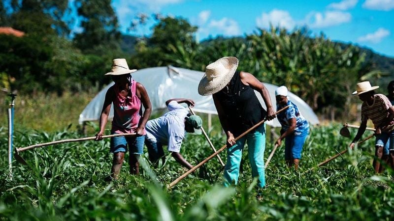 El 81% de las explotaciones agropecuarias son de la agricultura familiar