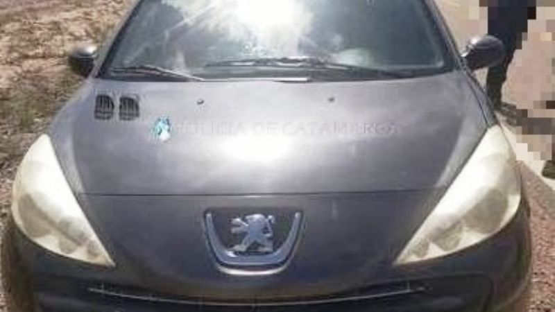 Detenidos cuando intentaban faenar animales