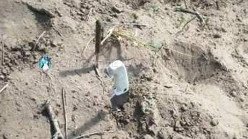 Detenidos cuando intentaban faenar animales