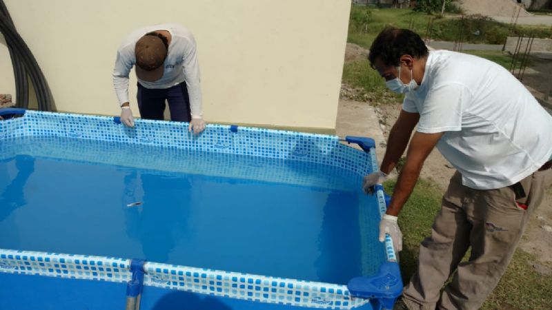 Continúan las acciones contra el Dengue