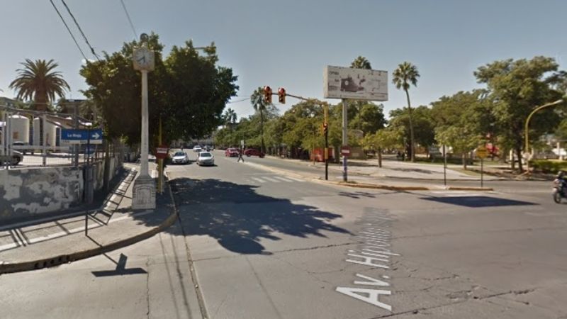 Secuestran aves canoras en esquina de supermercado