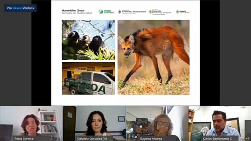 Recordaron los 50 años de la adopción del Día Mundial de los Humedales