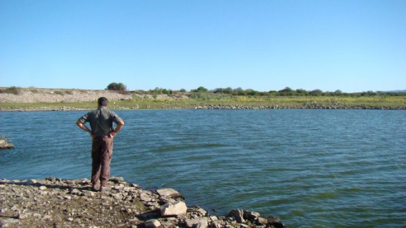 Evalúan mortandad de peces en el dique Motegasta