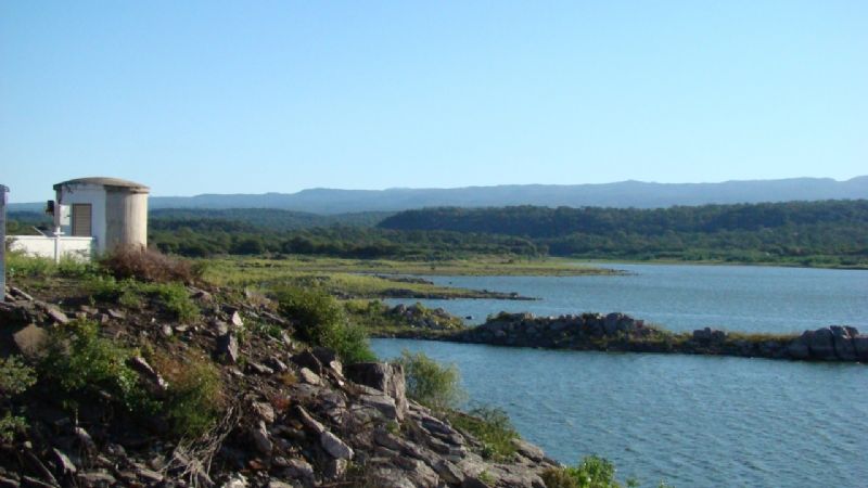 Evalúan mortandad de peces en el dique Motegasta