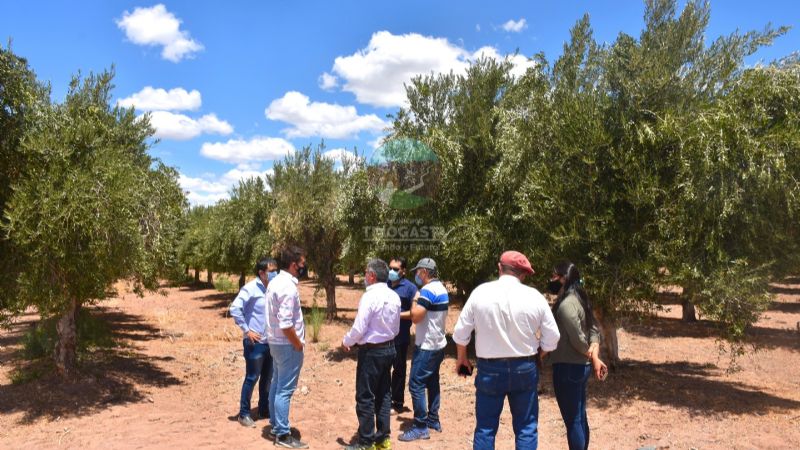 Avanza la recuperación del diferimiento “La Luna” en Anillaco