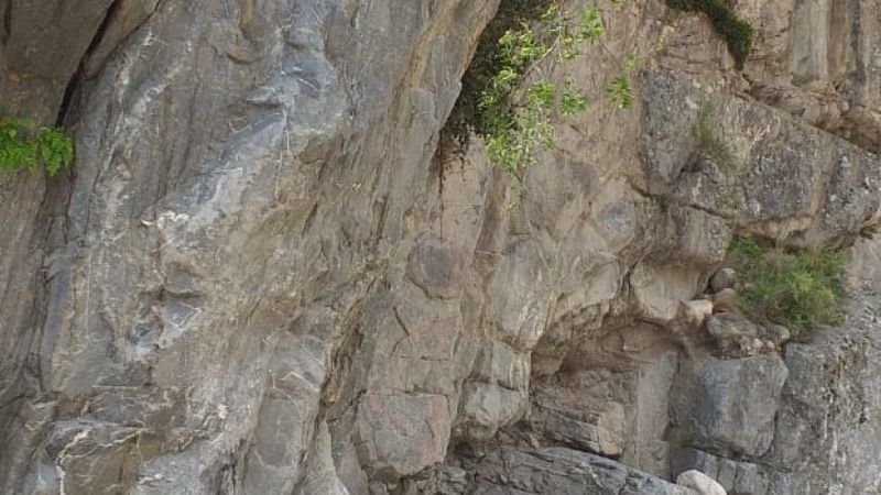 Monitoreo constante en los Sistemas de Alertas Tempranas