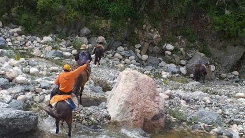 Monitoreo constante en los Sistemas de Alertas Tempranas