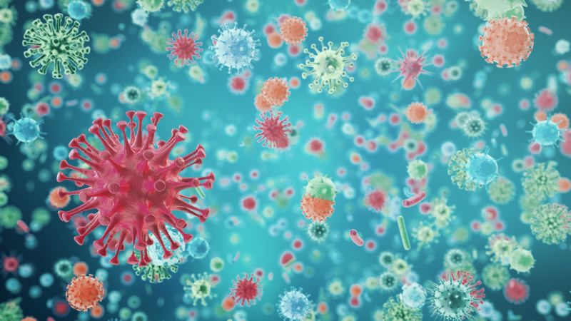 La OMS reveló que hay 14 países sin coronavirus