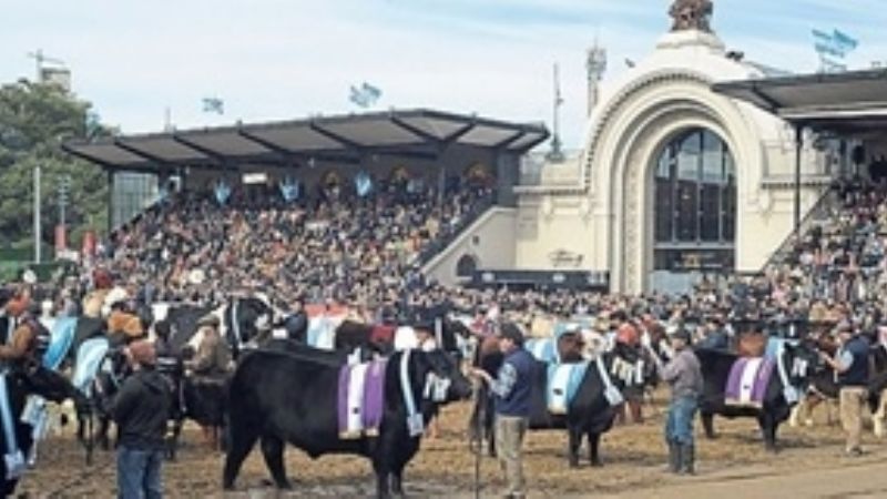 El Poder Formal y el Poder Real