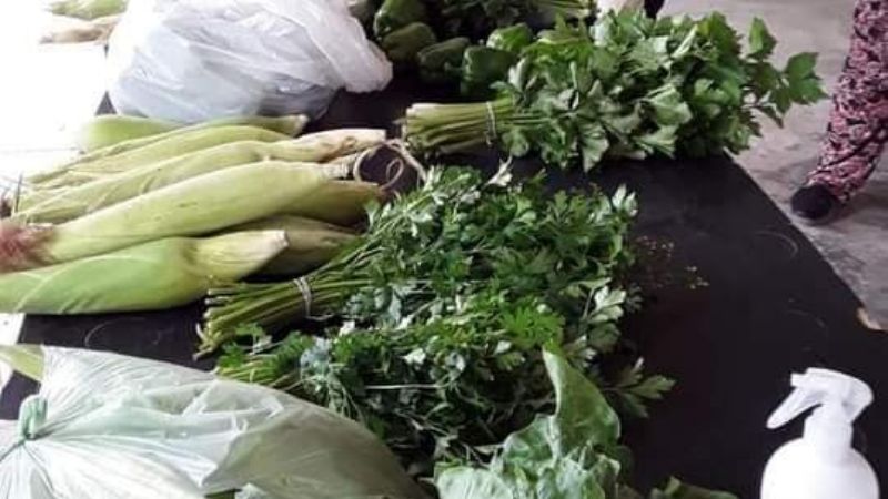 Feria productiva en Medanitos