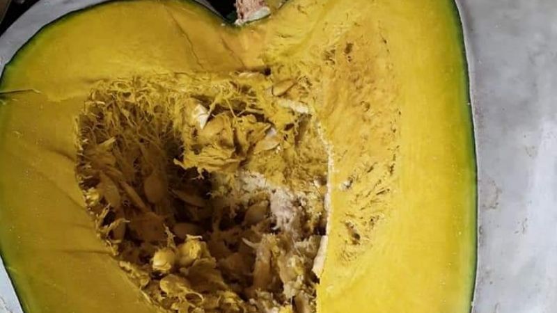 Feria productiva en Medanitos