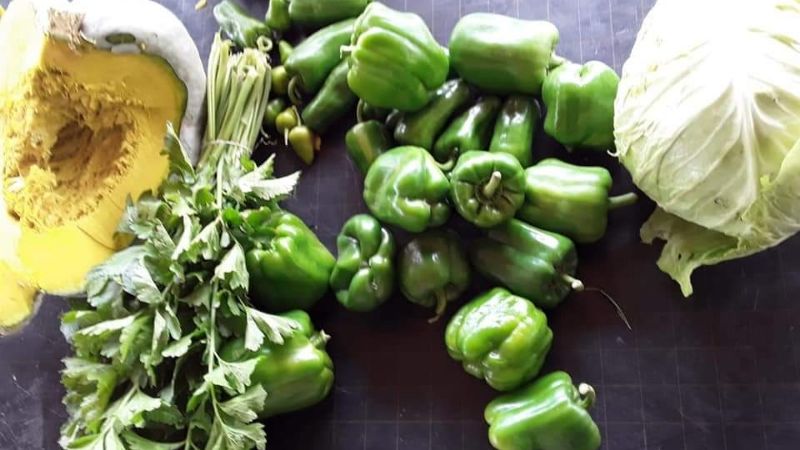 Feria productiva en Medanitos