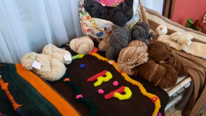 Entregaron beca cultural a las Hilanderas del Abaucán