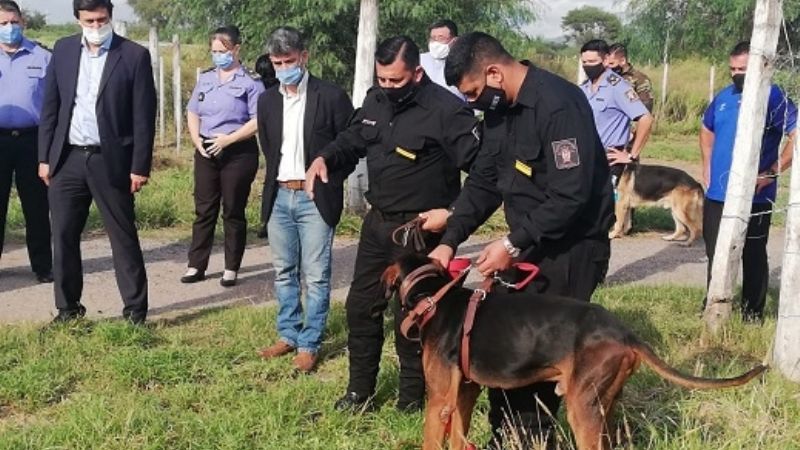 “Contamos con personal altamente capacitado y óptimos ejemplares operativos"