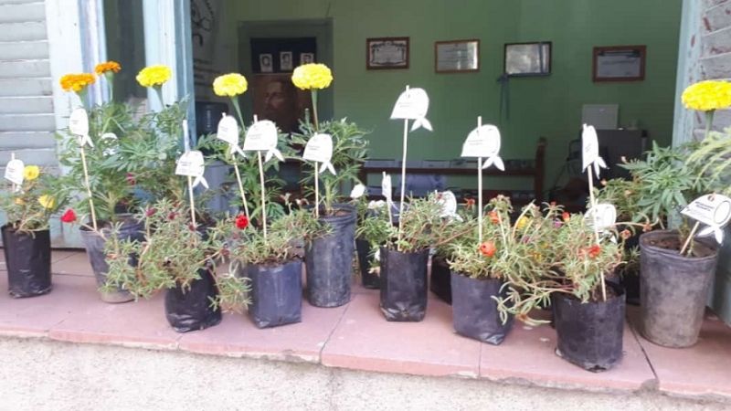 En Catamarca, comenzó la campaña “Plantamos Memoria”