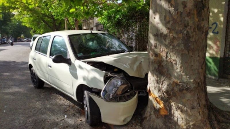 Chocó contra un árbol
