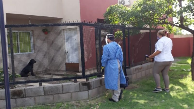 Control focal y descacharrado contra el Dengue