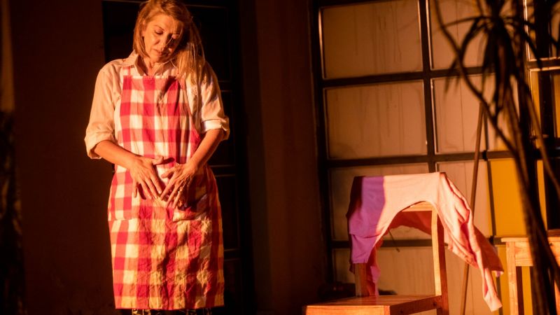 “Tres Mujeres, antología de hembras” debutó en el Museo Laureano Brizuela