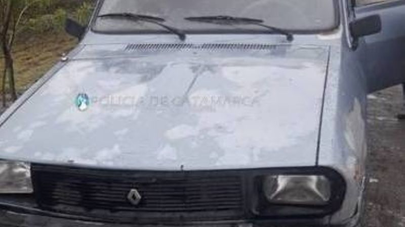 Decomisan siete lechones en el puesto caminero El Portezuelo