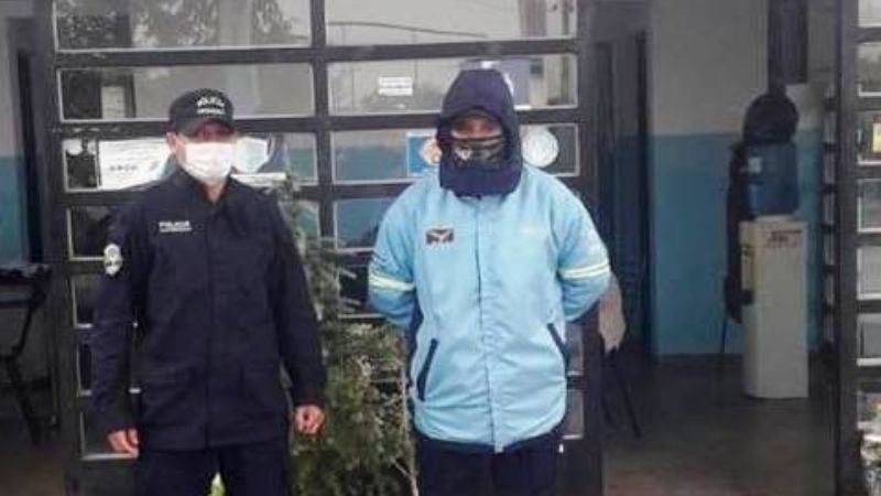 Decomisan siete lechones en el puesto caminero El Portezuelo