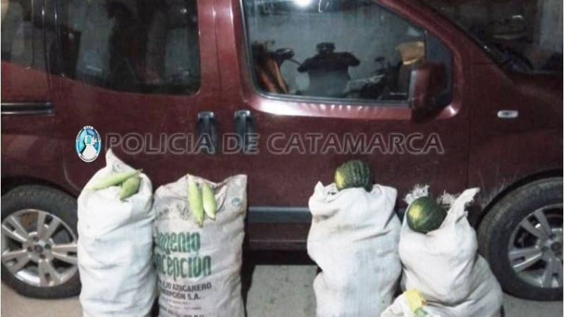 Intentó escapar con 70 kilos de zapallo y 150 choclos robados