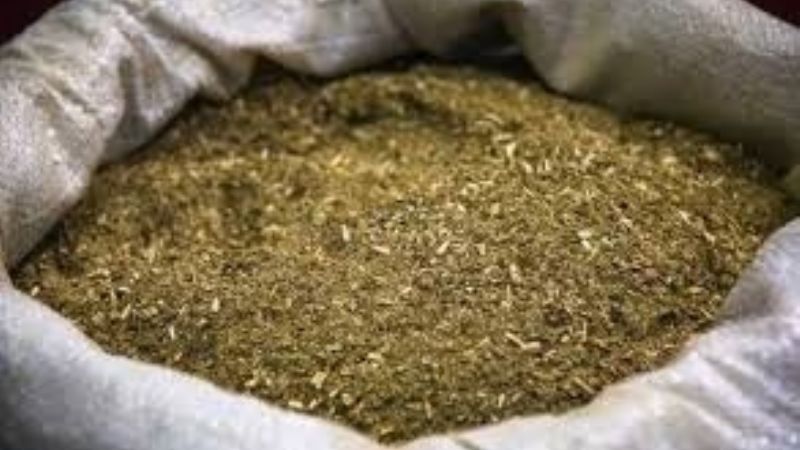 Abren el mercado indio a la yerba mate
