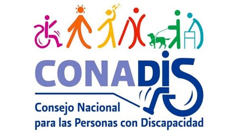 Elección del Referente de las ONGs para el Consejo Federal de Discapacidad