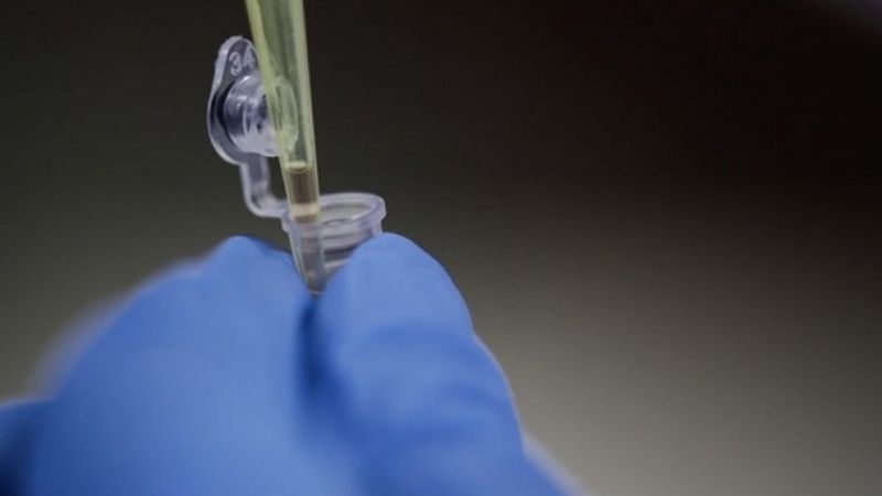 La EMA desaconsejó el uso del antiparasitario ivermectina