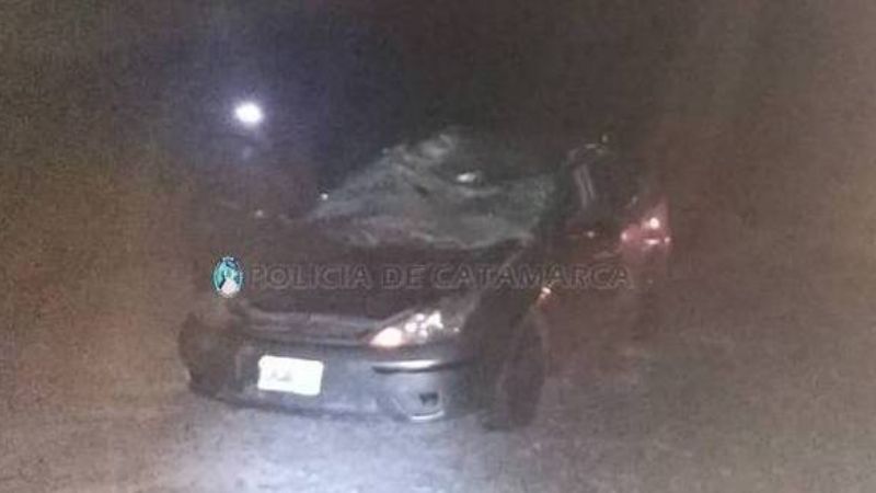 Chocó contra un caballo en Capayán