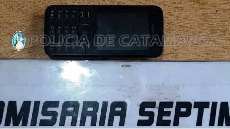 Detienen a una mujer por robarle el celular a un hombre