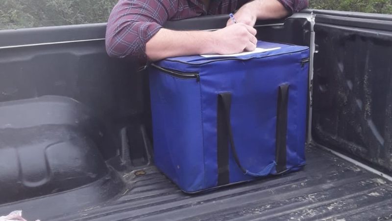 Detectan caso de rabia paresiante bovina