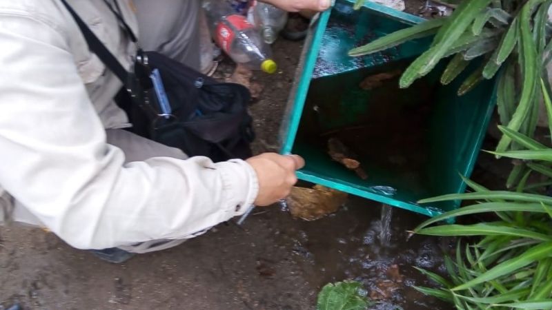 Se cierra marzo con acciones contra el Dengue