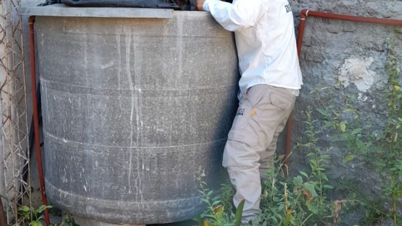 Se cierra marzo con acciones contra el Dengue