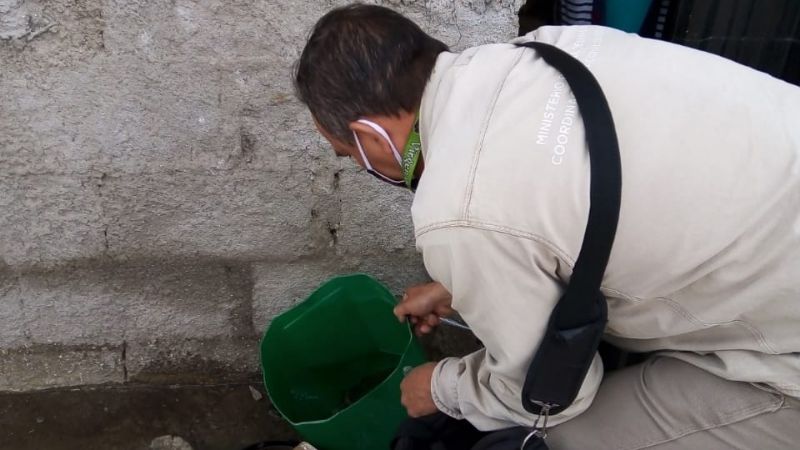 Se cierra marzo con acciones contra el Dengue