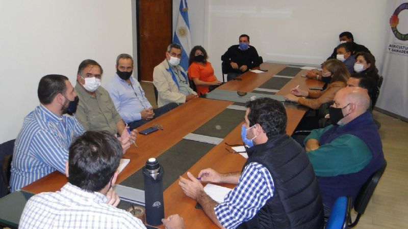 Laboratorio confirmó un solo caso de rabia paresiante