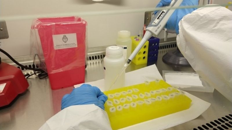 La provincia superó los 60.000 test de PCR desde el inicio de la pandemia