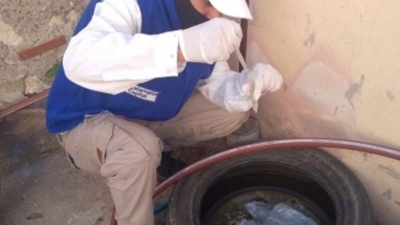 Prevención del dengue