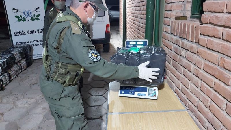 Gendarmería secuestró 280 kilos de hojas de coca en Santa María