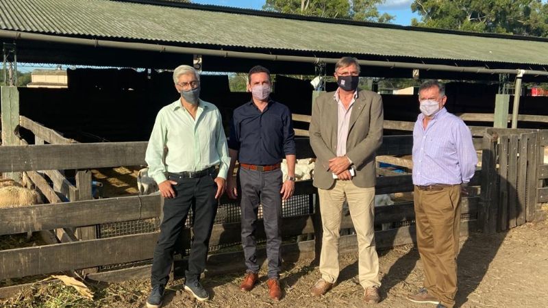 Trabajo conjunto para el mejoramiento genético caprino