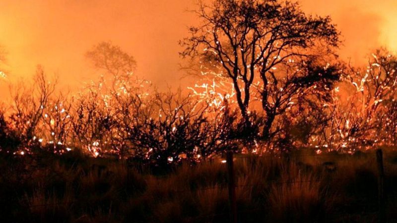 Cabandié alertó que "en 70 años nos quedaremos sin bosques"