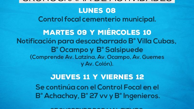 Cronograma de descacharrado y control focal